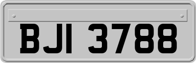 BJI3788
