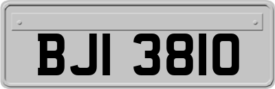 BJI3810