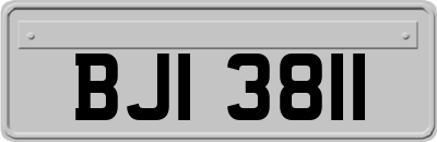 BJI3811