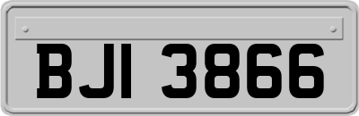 BJI3866