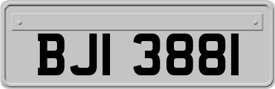 BJI3881