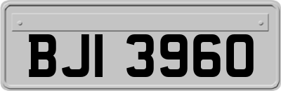BJI3960
