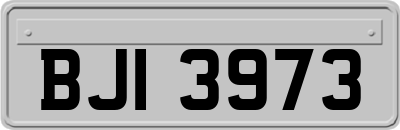 BJI3973