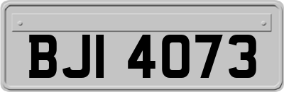BJI4073