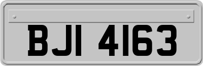 BJI4163