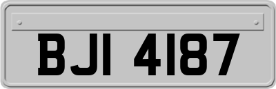 BJI4187