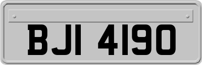 BJI4190