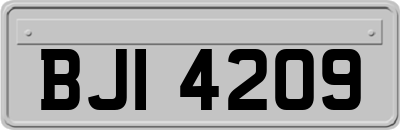 BJI4209