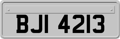 BJI4213
