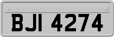 BJI4274