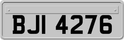 BJI4276