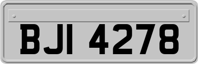 BJI4278