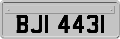 BJI4431