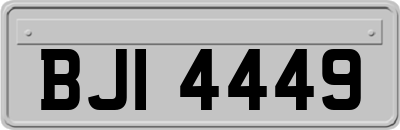 BJI4449
