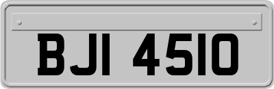 BJI4510