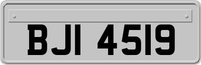 BJI4519