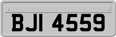 BJI4559