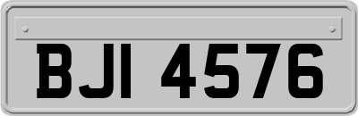 BJI4576