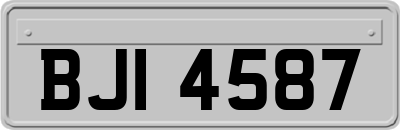 BJI4587