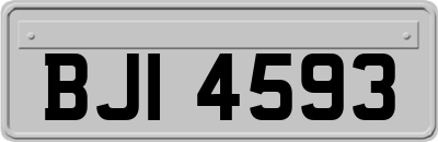 BJI4593