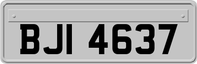 BJI4637