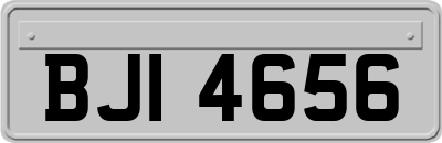 BJI4656