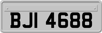 BJI4688