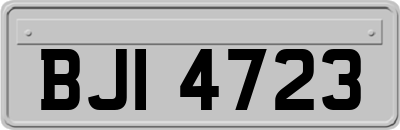 BJI4723