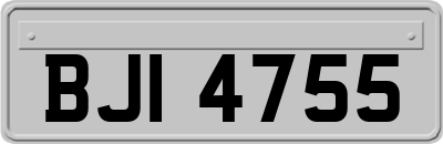 BJI4755