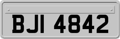 BJI4842