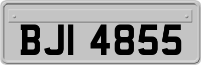 BJI4855