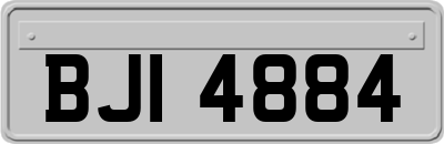 BJI4884