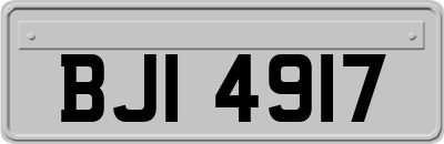 BJI4917