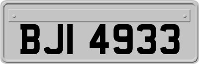 BJI4933