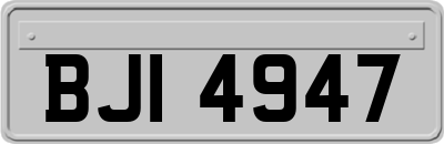 BJI4947