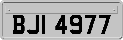 BJI4977