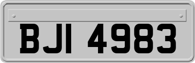BJI4983