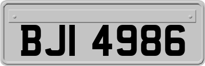 BJI4986