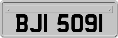 BJI5091