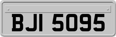 BJI5095