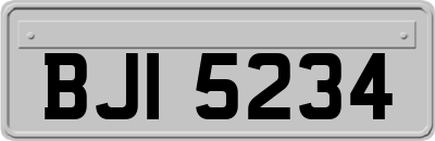 BJI5234