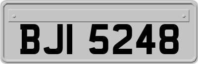 BJI5248