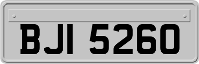 BJI5260