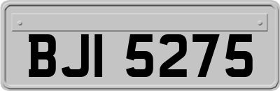 BJI5275