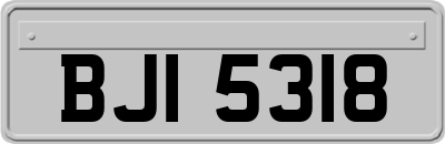 BJI5318