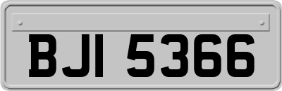 BJI5366