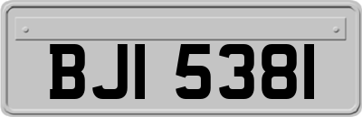 BJI5381