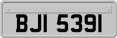 BJI5391