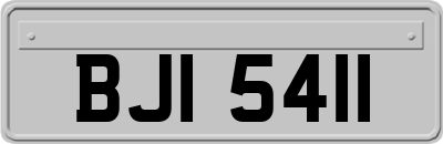 BJI5411