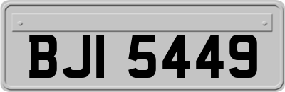 BJI5449